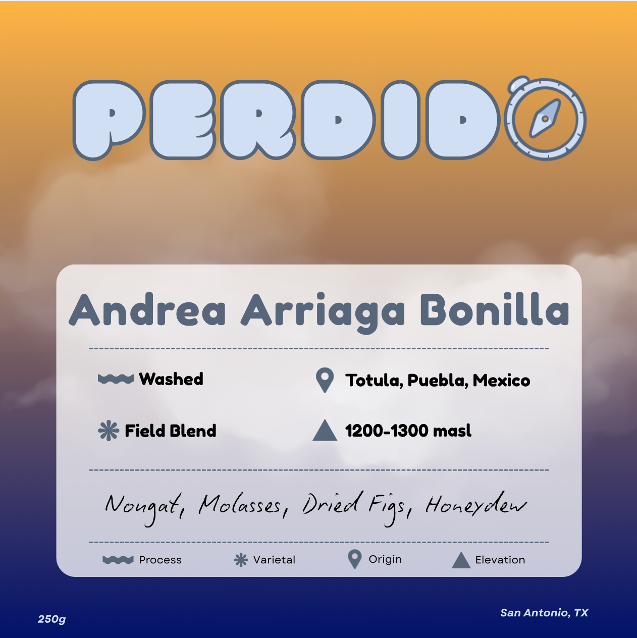 Andrea Arriaga Bonilla