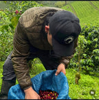 Oops, All Berries - Brayan Alvear