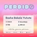Basha Bekele Yutute - Ethiopia Natural
