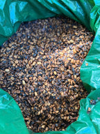Fruit Soup Abu Lot #4145 - Panama Gesha Honey