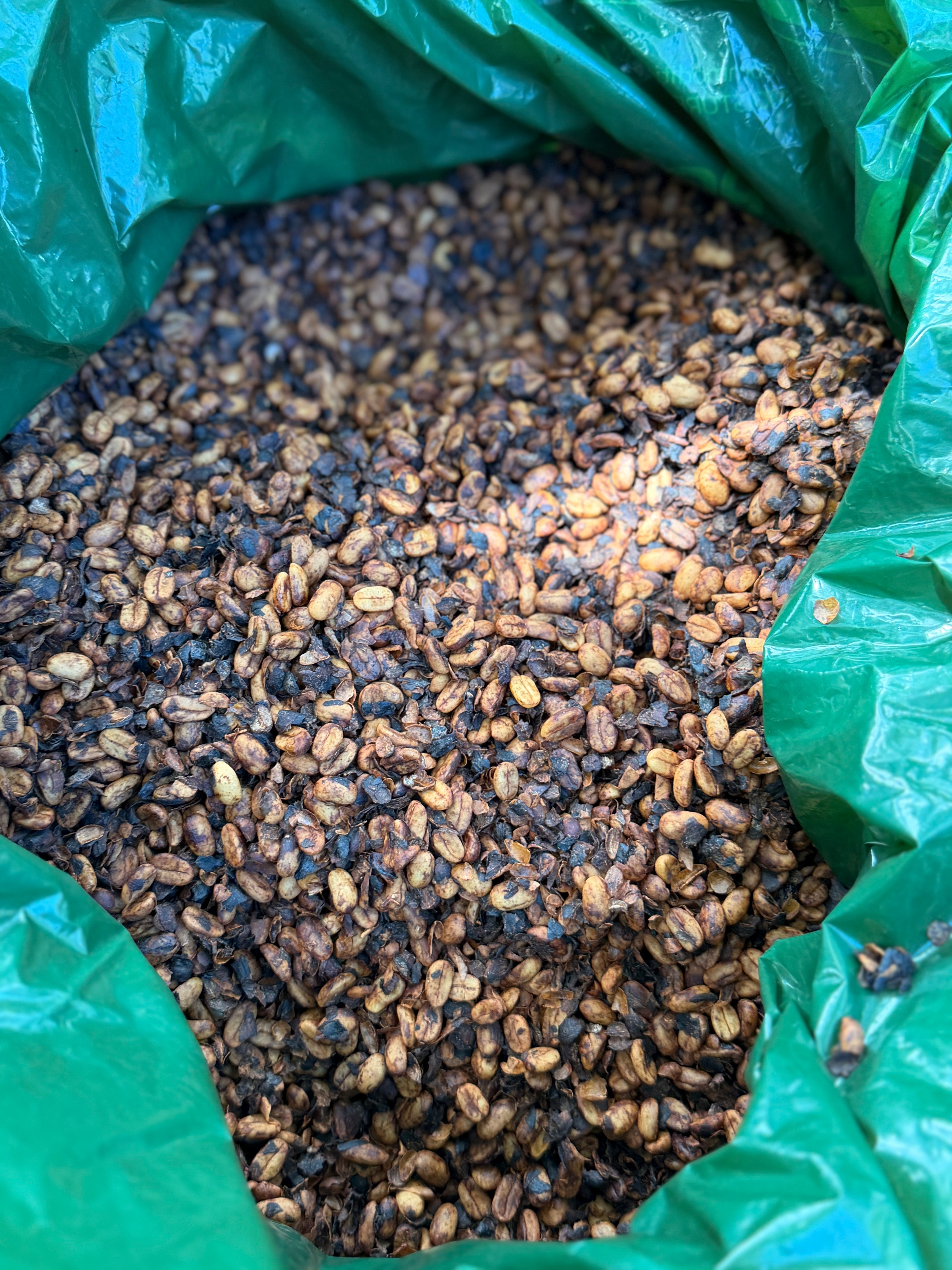 Fruit Soup Abu Lot #4145 - Panama Gesha Honey