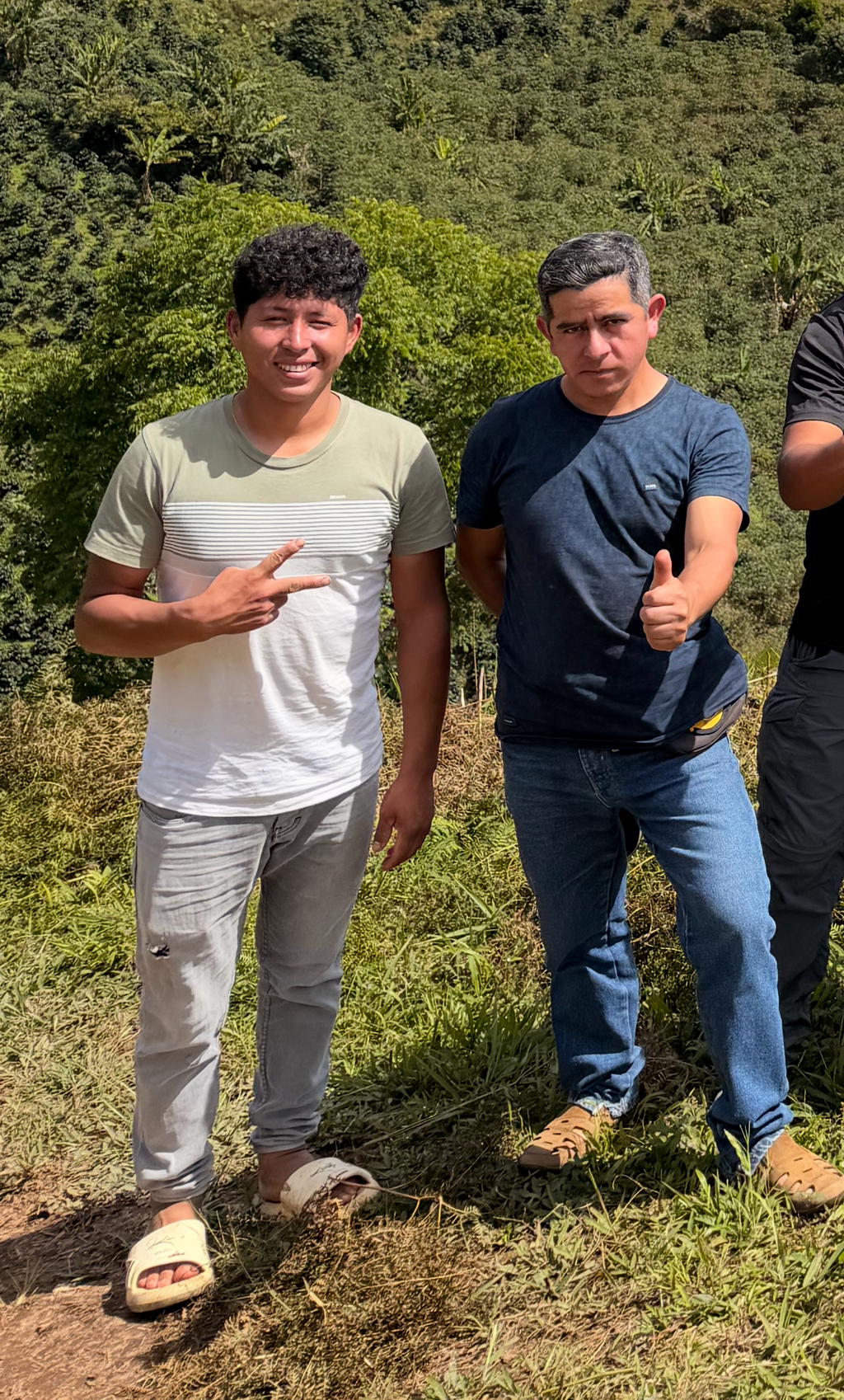 Don Vasquez - Peru Washed